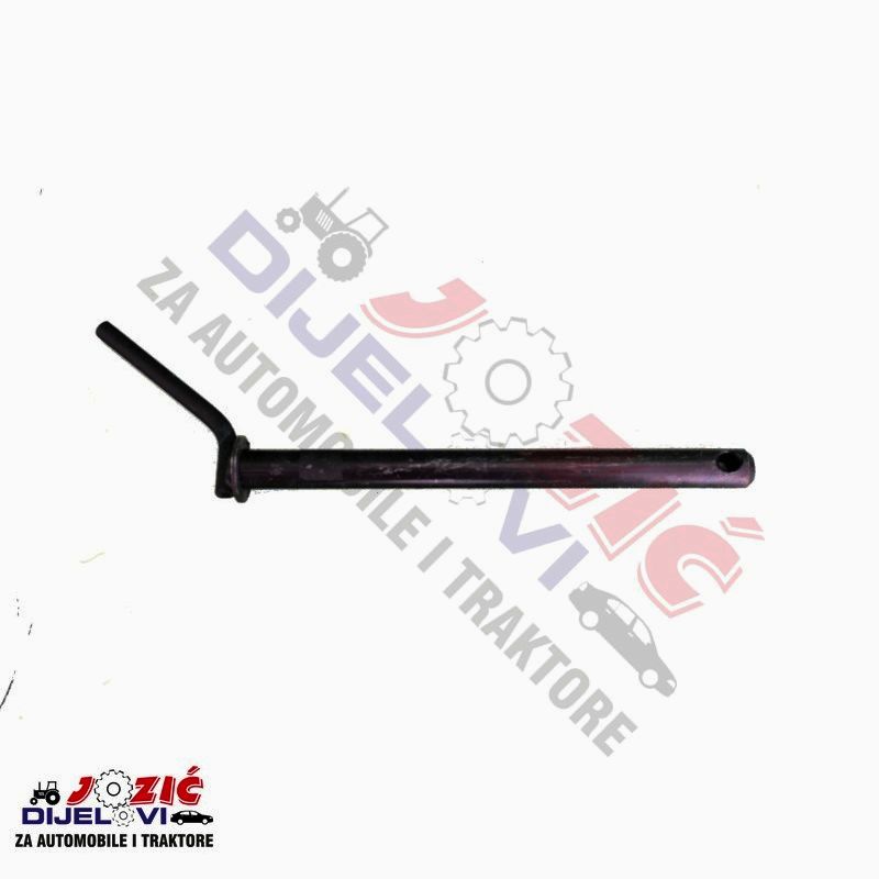 Daisy on the Ohoopee